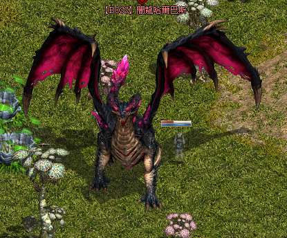 LinC0063.bmp